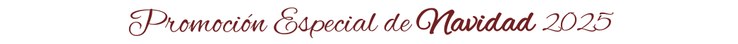 Promoción Especial de Navidad 2025