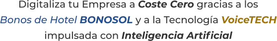 Digitaliza tu Empresa a Coste Cero gracias a losBonos de Hotel BONOSOL y a la Tecnología VoiceTECHimpulsada con Inteligencia Artificial